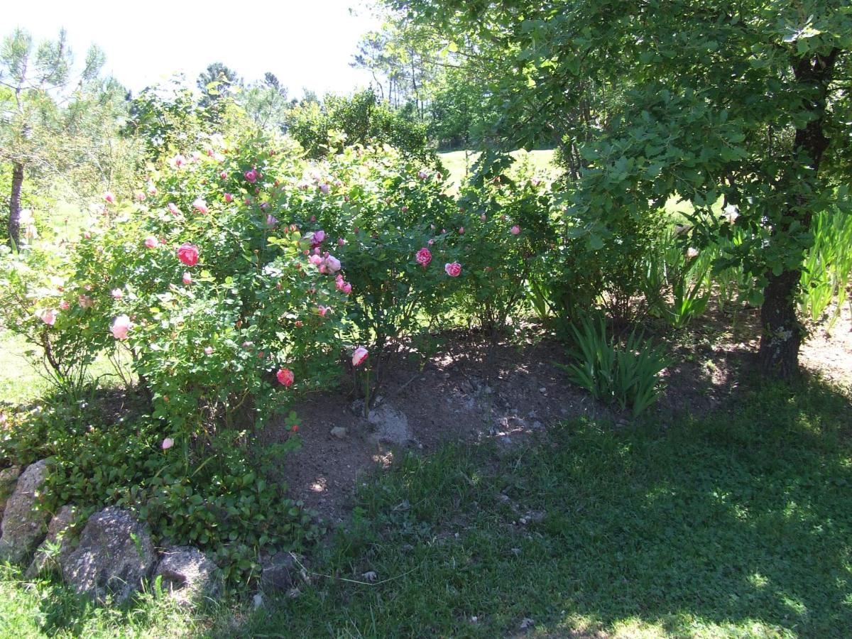 Bed and Breakfast Domaine Du Planas Ailhon Ardeche Exterior foto